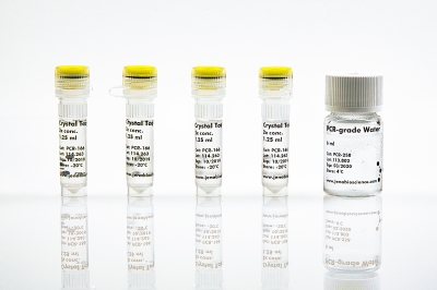 Biología molecular